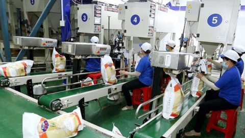 Xuất khẩu gạo trong năm 2021 tiếp tục khởi sắc