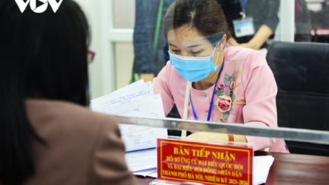 Hà Nội có 30 người tự ứng cử Đại biểu Quốc hội