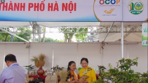 Hà Nội đề xuất ban hành chính sách đồng bộ thực hiện Chương trình OCOP