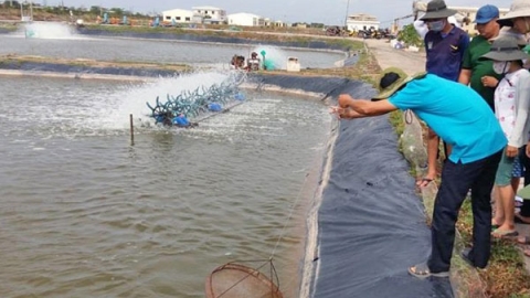 Kiểm soát an toàn thực phẩm thủy sản xuất khẩu và nhập khẩu