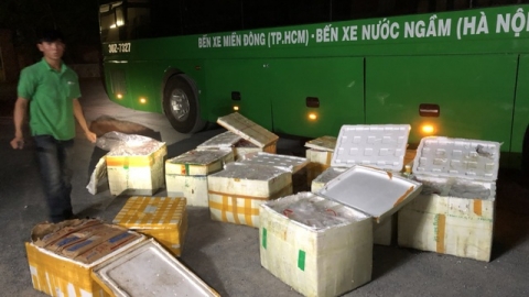 Nghệ An: Bắt giữ gần 1 tấn nội tạng trâu bò hôi thối không rõ nguồn gốc