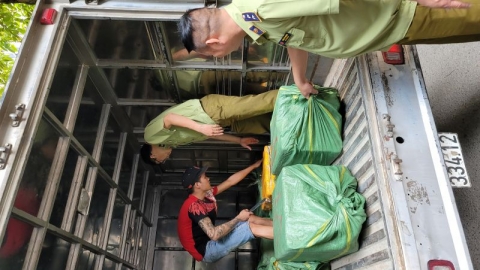 Hà Nội: Tạm giữ 600kg tràng trứng gà non không rõ nguồn gốc xuất xứ