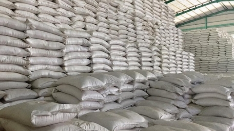 Giá lúa gạo hôm nay 19/4: Giá xuất khẩu giảm về mức thấp, thị trường trong nước ổn định