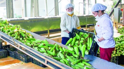 Thanh Hóa: Giá trị hàng hóa xuất khẩu đạt hơn 942,868 triệu USD trong quý I/2021