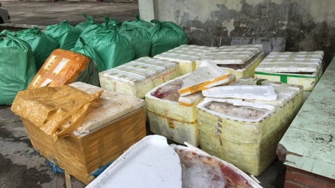Nghệ An: Tiêu hủy hơn 1 tấn sản phẩm động vật không rõ nguồn gốc