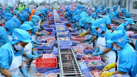 Tổng kim ngạch xuất khẩu thủy sản quý I-2021 ước đạt 1,64 tỷ USD