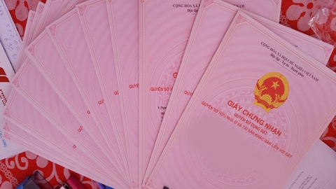 Bà Rịa – Vũng Tàu: Tăng cường công tác quản lý nhà nước về giá đất