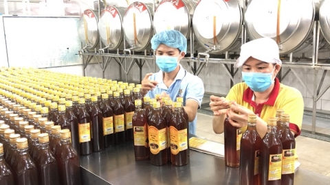 Lần đầu tiên, sản phẩm mật ong Việt Nam có nguy cơ bị điều tra biện pháp phòng vệ thương mại