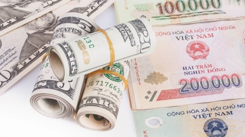 Tỷ giá ngoại tệ ngày 5/5: Đồng USD tăng, euro và bảng Anh giảm mạnh