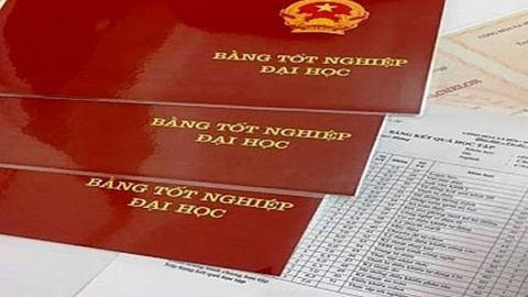 Dừng hoạt động cấp chứng chỉ các cơ sở giáo dục không đủ điều kiện