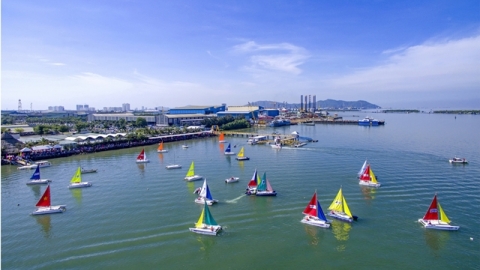 Phó chủ tịch Hiệp hội du lịch Quảng Bình lên tiếng về bến thuyền du lịch Vũng Tàu Marina