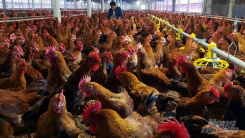 Hà Tĩnh: Một doanh nghiệp bị xử phạt hơn 400 triệu đồng