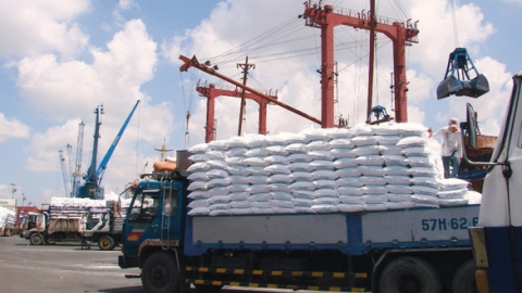 Giá phân bón sẽ tiếp tục leo cao từ nay đến hết năm 2021