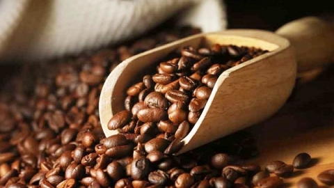 Giá cà phê ngày 19/6: Robusta khó bứt phá trên 1.600 USD, arabica trượt khỏi xu hướng tăng