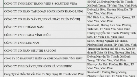Vĩnh Phúc “bêu tên” gần 180 doanh nghiệp nợ tiền thuế kéo dài