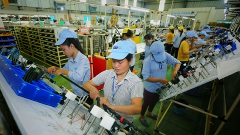 Hợp tác thương mại Việt Nam - Tunisia còn nhiều dư địa phát triển