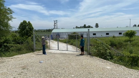Hải Phòng: Trang trại chăn nuôi lợn xả nước thải, chất thải ảnh hưởng nghiêm trọng đến môi trường xunh quanh