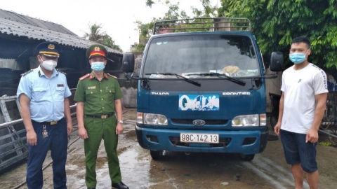 Bắc Giang: Ngăn chặn gần 1,8 tấn lợn mắc bệnh dịch tả châu Phi