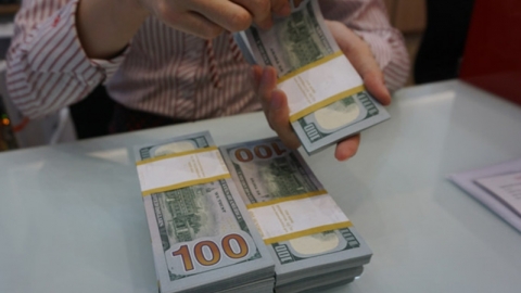 Tỷ giá ngoại tệ ngày 23/7: Đồng USD hạ nhiệt