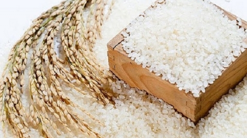 Giá lúa gạo ngày 28/7: Duy trì ổn định