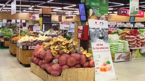 Đề nghị áp dụng các biện pháp cấp bách lưu thông hàng hoá trước nguy cơ nông sản đang dư thừa, cung vượt cầu ở phía Nam
