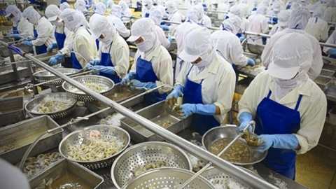 Mỹ sẽ không ban hành bất kỳ biện pháp hạn chế thương mại nào đối với hàng hóa xuất khẩu của Việt Nam
