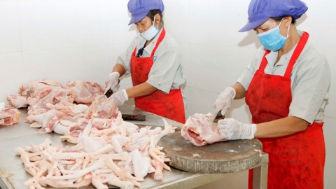 Đảm bảo nguồn cung hàng hóa thiết yếu trong mọi tình huống