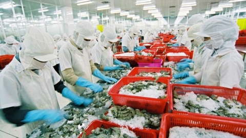 Bảo hộ thương hiệu, nâng cao năng lực canh tranh của doanh nghiệp Việt Nam trên thị trường quốc tế