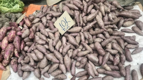 Vĩnh Long: Hàng nghìn tấn rau củ, trái cây đang cần được “giải cứu”