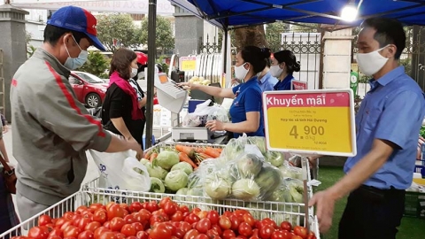 Hà Nội: Bảo đảm lưu thông, tiêu thụ nông sản