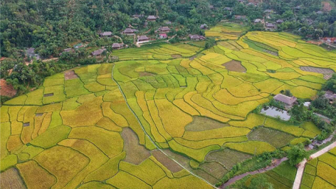 Lào Cai: Công nhận xã Nghĩa Đô, huyện Bảo Yên là điểm Du lịch