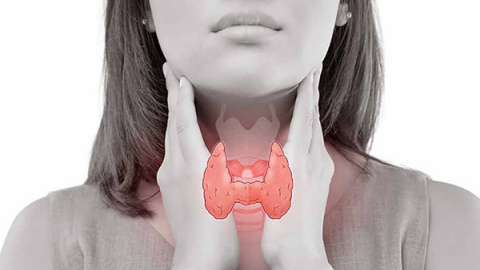 Cải thiện tình trạng suy giáp an toàn, hiệu quả