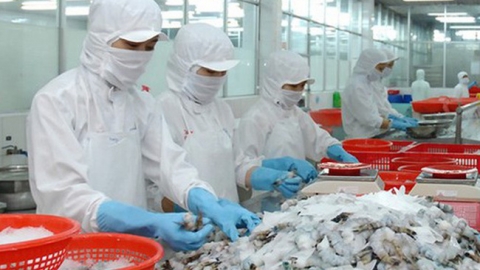 Yếu tố then chốt để ngành thủy sản đáp ứng quy tắc xuất xứ tại Hiệp định EVFTA