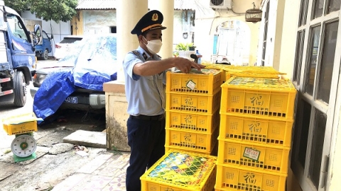 Lạng Sơn: Thu giữ gần 1,7 tấn nho xanh nhập lậu