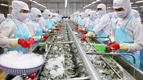Tháo gỡ khó khăn, vướng mắc cho doanh nghiệp sản xuất và xuất khẩu