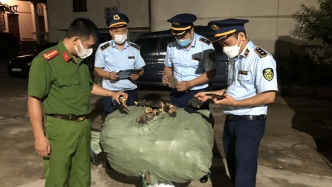 Lạng Sơn: Thu giữ 650 kg nấm không rõ nguồn gốc