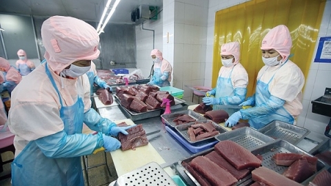 Cơ hội và thách thức khi XK sang Anh và Bắc Ai Len thông qua Hiệp định UKVFTA