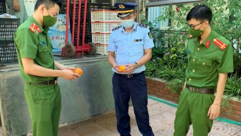 Sơn La: Thu giữ hơn 2 tấn hoa quả tươi không rõ nguồn gốc