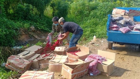 Bảo Thắng (Lào Cai): Tiêu huỷ 350kg quả ô mai sấy không rõ nguồn gốc