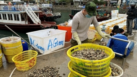 Quảng Ninh: Khơi thông chuỗi tiêu thụ, tiếp sức cho doanh nghiệp