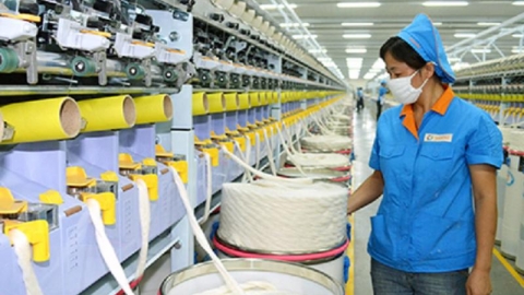 Mỹ kết luận biên độ phá giá sợi dún polyester của Việt Nam