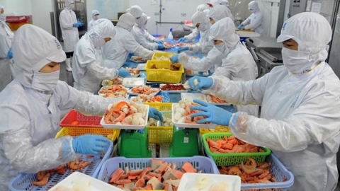 Sắp diễn ra Triển lãm quốc tế Công nghiệp Thực phẩm Việt Nam trên môi trường số