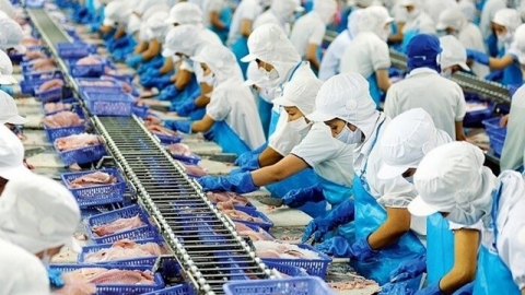 Triển vọng quan hệ thương mại Việt Nam – Na Uy trong tình hình mới