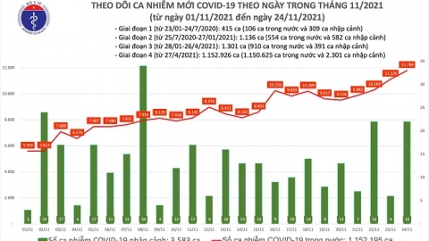 Ngày 24/11: Số người khỏi bệnh gấp đôi số ca nhiễm COVID-19 mới