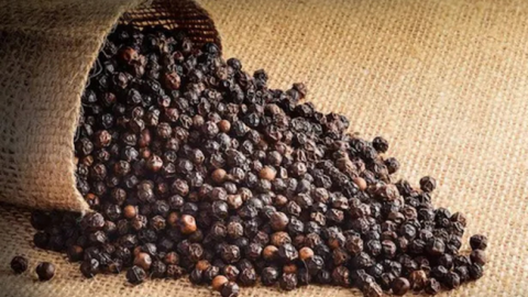Giá tiêu ngày 26/11: Giao dịch trong khoảng 81.000 - 84.000 đồng/kg