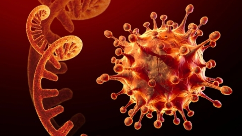 Lo ngại biến chủng Omicron, EU dừng cấp phép xuất khẩu vaccine từ năm 2022