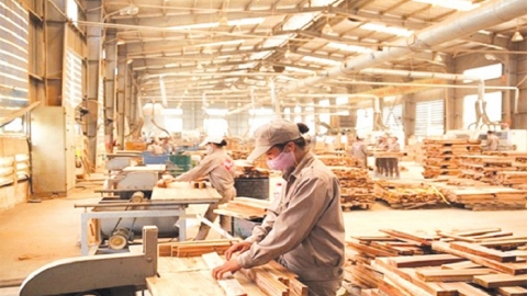 Hoạt động xuất khẩu của ngành gỗ tăng liên tiếp