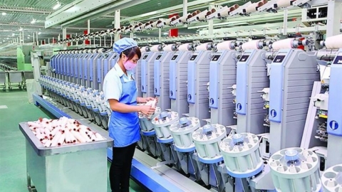 Doanh nghiệp thành viên Hiệp hội Vattap cần liên kết và làm chủ nguồn nguyên liệu và xây dựng thương hiệu