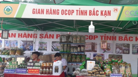Bắc Kạn công nhận thêm 39 sản phẩm OCOP