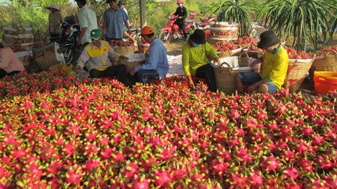 Tăng cường các biện pháp chống dịch Covid-19 nhằm bảo đảm an toàn trong sản xuất và vận chuyển hàng hoá